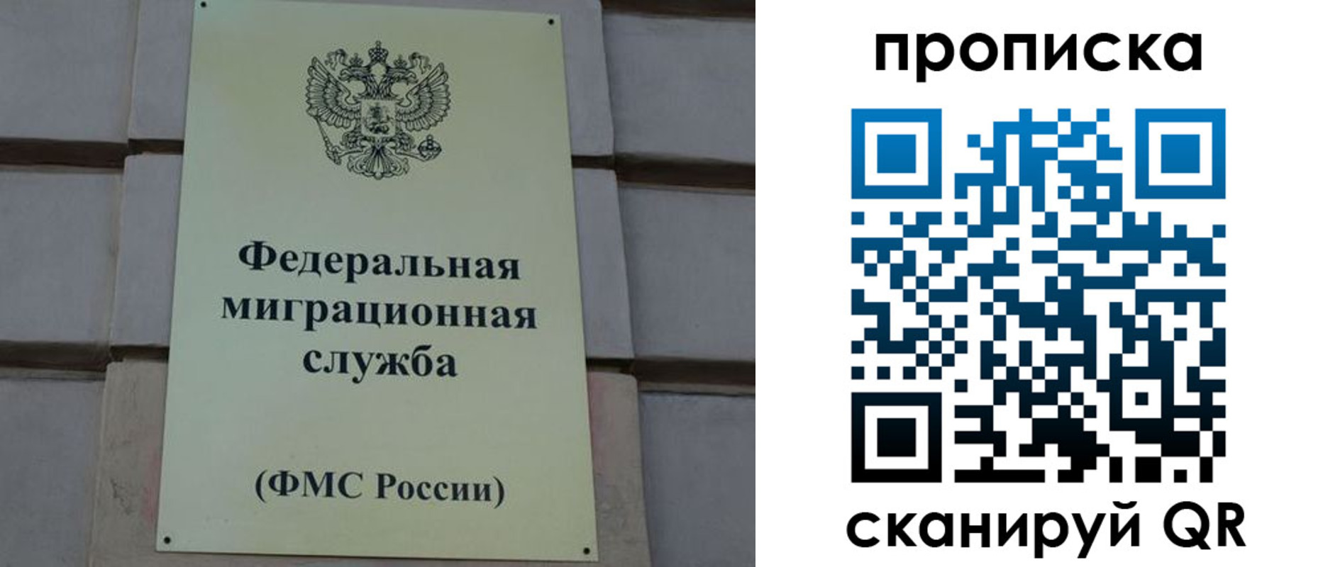 прописка поиск в Боре